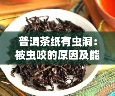 普洱茶纸有虫洞：被虫咬的原因及能否送人？