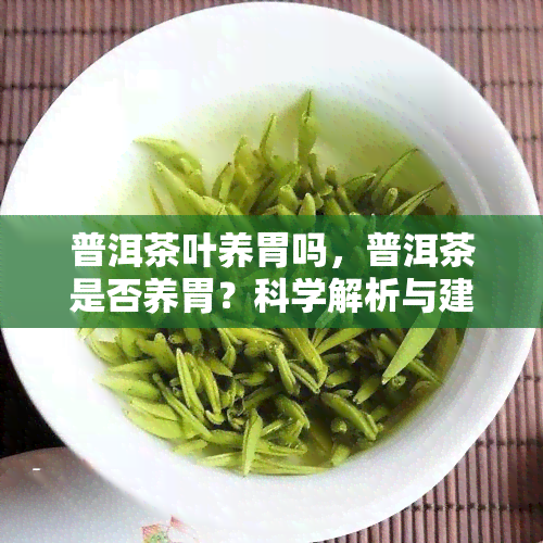 普洱茶叶养胃吗，普洱茶是否养胃？科学解析与建议