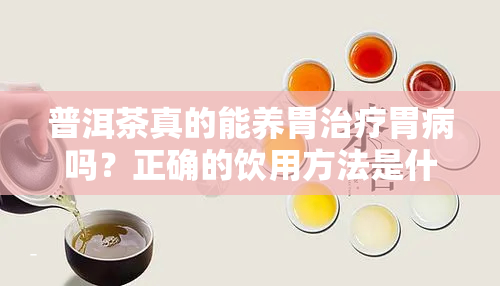 普洱茶真的能养胃治疗胃病吗？正确的饮用方法是什么？