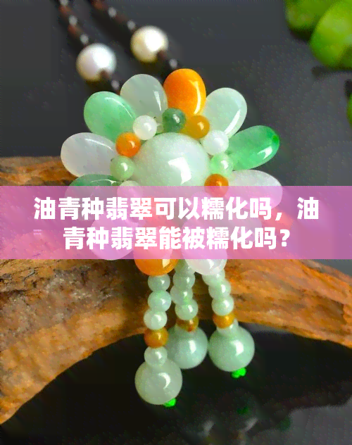 油青种翡翠可以糯化吗，油青种翡翠能被糯化吗？