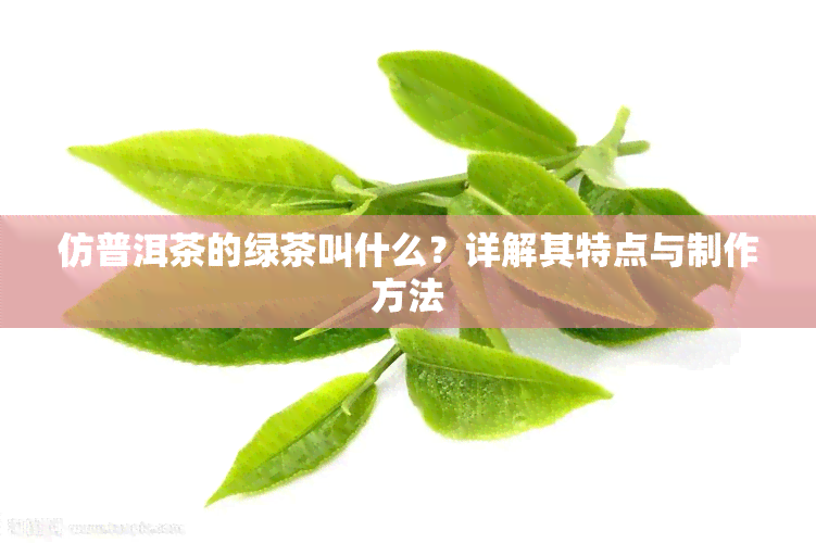 仿普洱茶的绿茶叫什么？详解其特点与制作方法