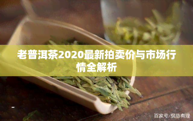 老普洱茶2020最新拍卖价与市场行情全解析