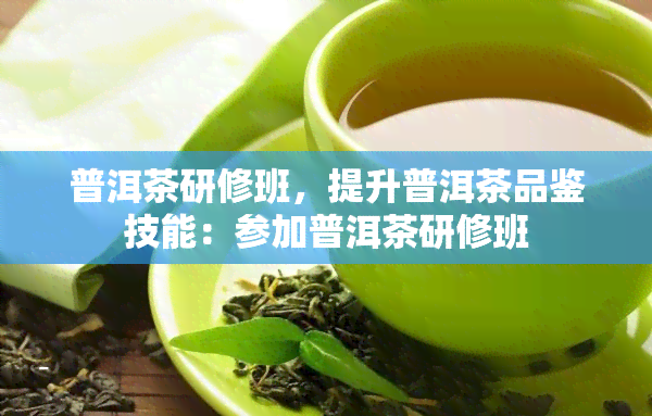 普洱茶研修班，提升普洱茶品鉴技能：参加普洱茶研修班