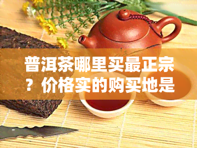 普洱茶哪里买最正宗？价格实的购买地是什么？