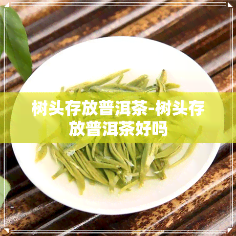 树头存放普洱茶-树头存放普洱茶好吗