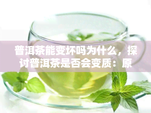 普洱茶能变坏吗为什么，探讨普洱茶是否会变质：原因解析