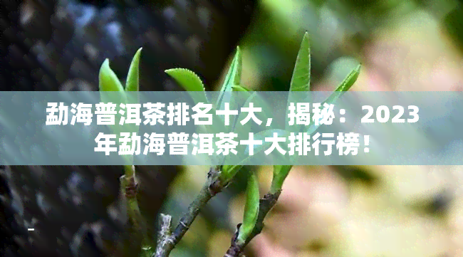 勐海普洱茶排名十大，揭秘：2023年勐海普洱茶十大排行榜！