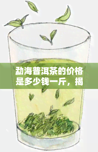 勐海普洱茶的价格是多少钱一斤，揭秘勐海普洱茶价格：一斤售价多少？