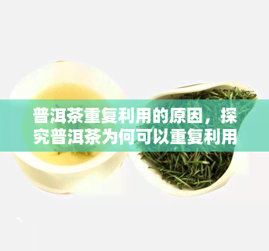 普洱茶重复利用的原因，探究普洱茶为何可以重复利用：原因解析