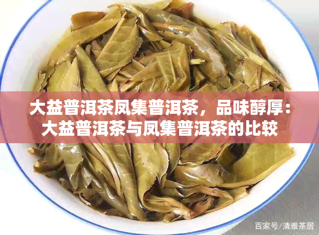 大益普洱茶凤集普洱茶，品味醇厚：大益普洱茶与凤集普洱茶的比较