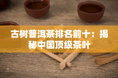 古树普洱茶排名前十：揭秘中国顶级茶叶