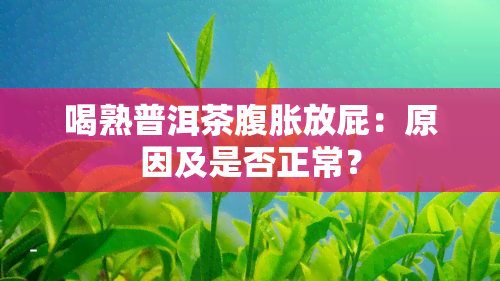 喝熟普洱茶腹胀放屁：原因及是否正常？