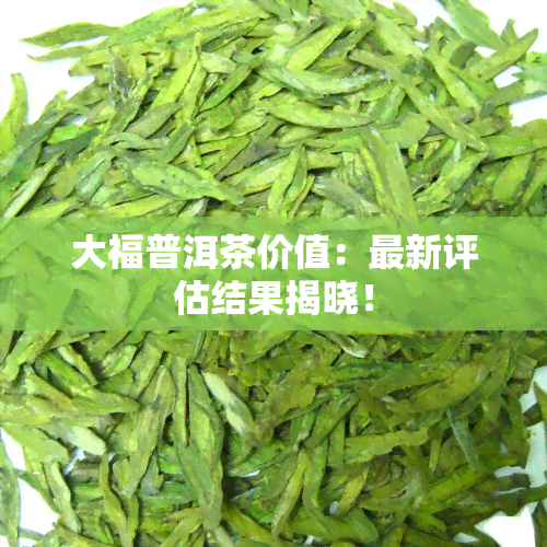 大福普洱茶价值：最新评估结果揭晓！