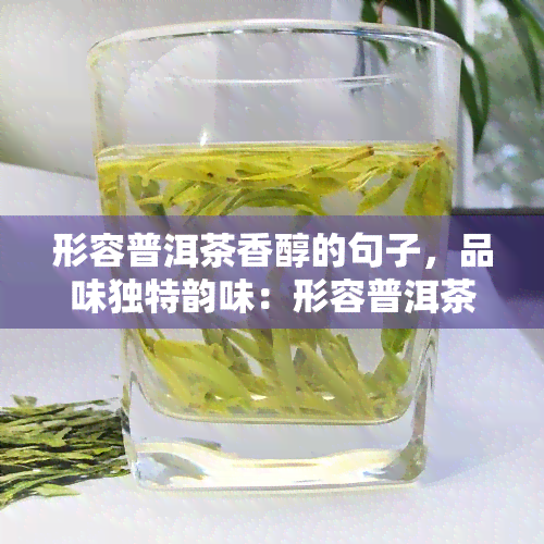 形容普洱茶香醇的句子，品味独特韵味：形容普洱茶香醇的句子