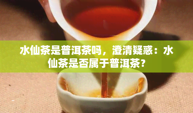 水仙茶是普洱茶吗，澄清疑惑：水仙茶是否属于普洱茶？