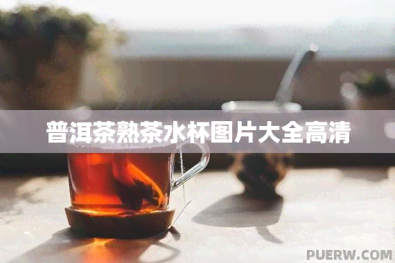 普洱茶熟茶水杯图片大全高清