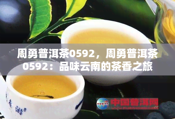 周勇普洱茶0592，周勇普洱茶0592：品味云南的茶香之旅