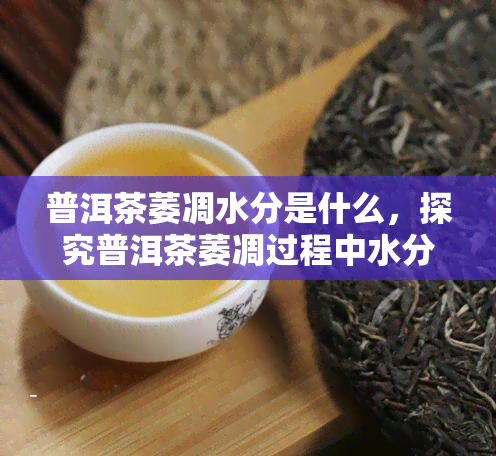 普洱茶萎凋水分是什么，探究普洱茶萎凋过程中水分的作用与影响