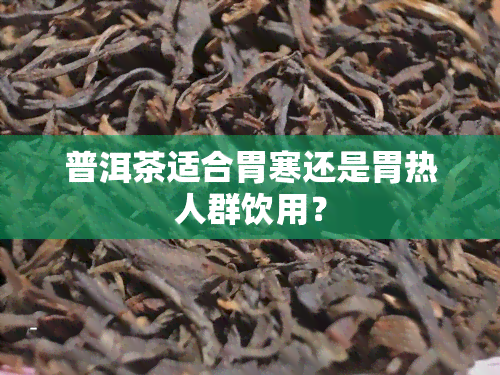 普洱茶适合胃寒还是胃热人群饮用？