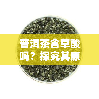 普洱茶含草酸吗？探究其原因与影响