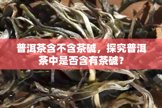 普洱茶含不含茶碱，探究普洱茶中是否含有茶碱？