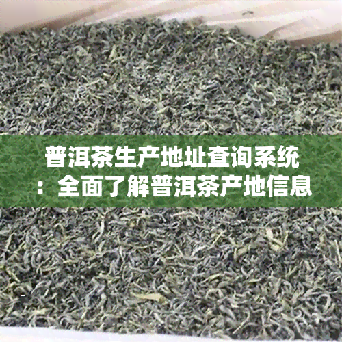 普洱茶生产地址查询系统：全面了解普洱茶产地信息