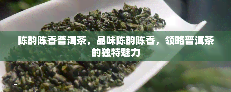 陈韵陈香普洱茶，品味陈韵陈香，领略普洱茶的独特魅力