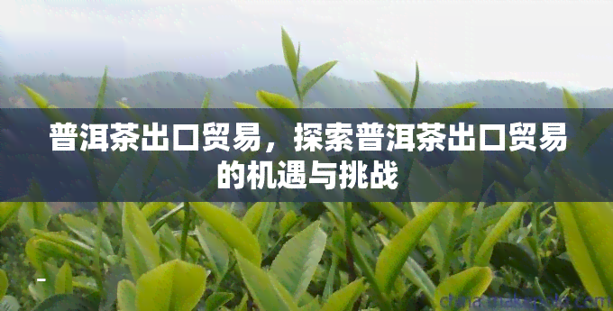 普洱茶出口贸易，探索普洱茶出口贸易的机遇与挑战