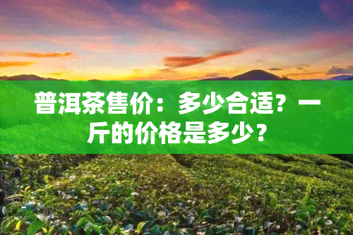 普洱茶售价：多少合适？一斤的价格是多少？