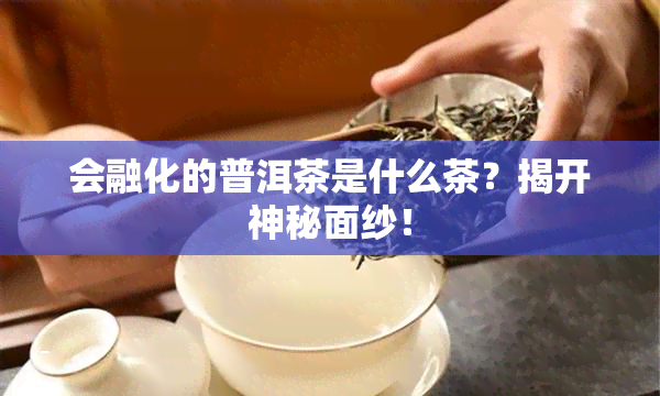 会融化的普洱茶是什么茶？揭开神秘面纱！