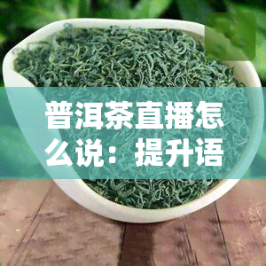 普洱茶直播怎么说：提升语言魅力与销售技巧