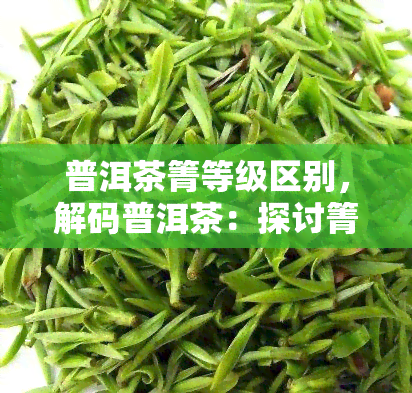 普洱茶箐等级区别，解码普洱茶：探讨箐等级的区别与重要性