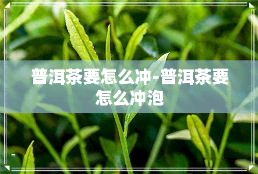 普洱茶要怎么冲-普洱茶要怎么冲泡