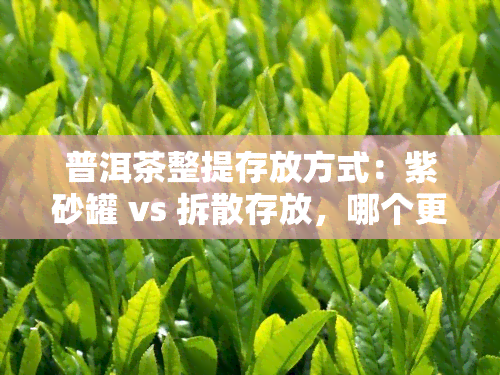 普洱茶整提存放方式：紫砂罐 vs 拆散存放，哪个更好？