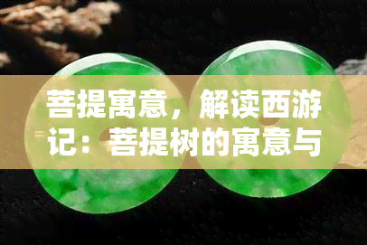 菩提寓意，解读西游记：菩提树的寓意与象征意义