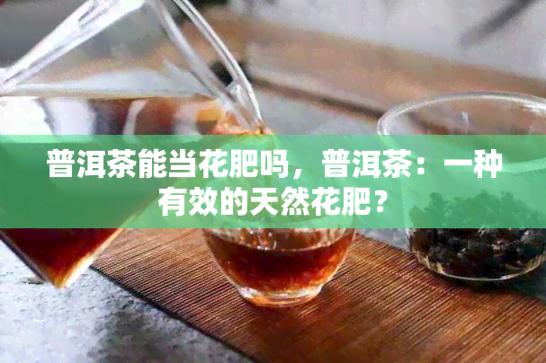 普洱茶能当花肥吗，普洱茶：一种有效的天然花肥？