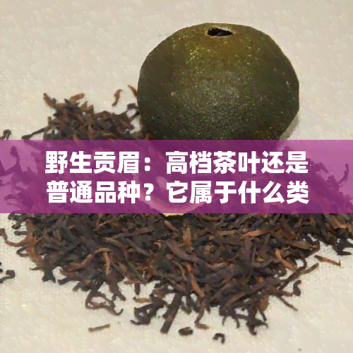 野生贡眉：高档茶叶还是普通品种？它属于什么类型的茶？