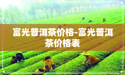 富光普洱茶价格-富光普洱茶价格表