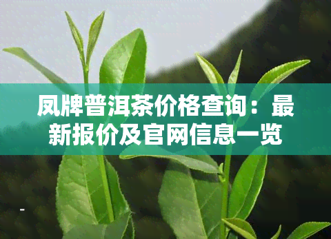 凤牌普洱茶价格查询：最新报价及官网信息一览