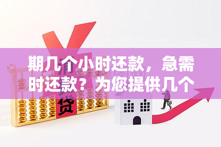 期几个小时还款，急需时还款？为您提供几个小时的宽限期！