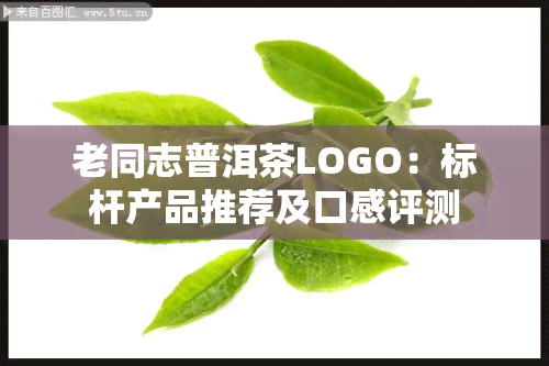 老同志普洱茶LOGO：标杆产品推荐及口感评测