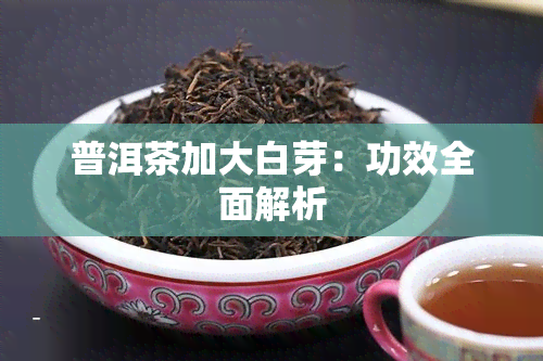 普洱茶加大白芽：功效全面解析