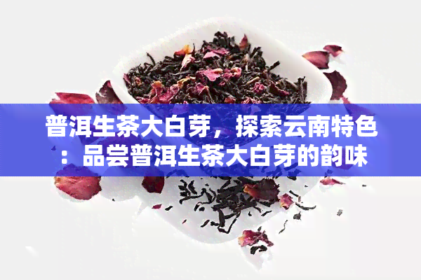 普洱生茶大白芽，探索云南特色：品尝普洱生茶大白芽的韵味