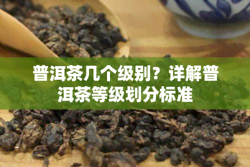 普洱茶几个级别？详解普洱茶等级划分标准