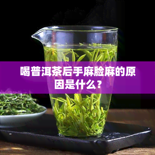 喝普洱茶后手麻脸麻的原因是什么？