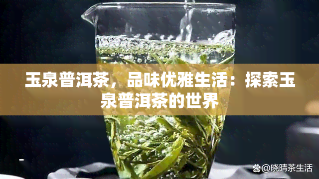 玉泉普洱茶，品味优雅生活：探索玉泉普洱茶的世界