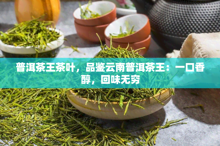 普洱茶王茶叶，品鉴云南普洱茶王：一口香醇，回味无穷