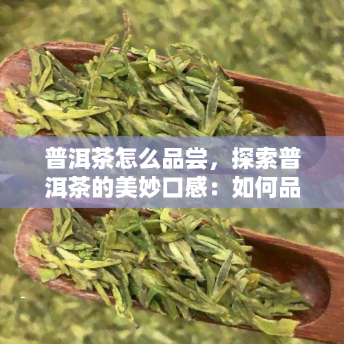 普洱茶怎么品尝，探索普洱茶的美妙口感：如何品尝?