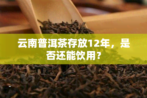 云南普洱茶存放12年，是否还能饮用？