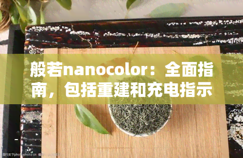 般若nanocolor：全面指南，包括重建和充电指示